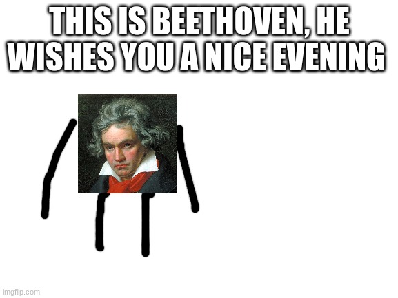 dodge | THIS IS BEETHOVEN, HE WISHES YOU A NICE EVENING | image tagged in blank white template | made w/ Imgflip meme maker