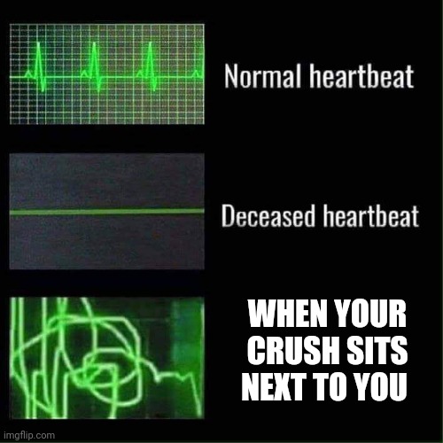 Heart beat meme | WHEN YOUR CRUSH SITS NEXT TO YOU | image tagged in heart beat meme,relatable memes | made w/ Imgflip meme maker