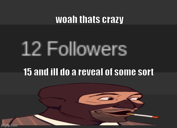 its as if my posts in msmg are gaining me followers hmmmm | woah thats crazy; 15 and ill do a reveal of some sort | image tagged in yes | made w/ Imgflip meme maker