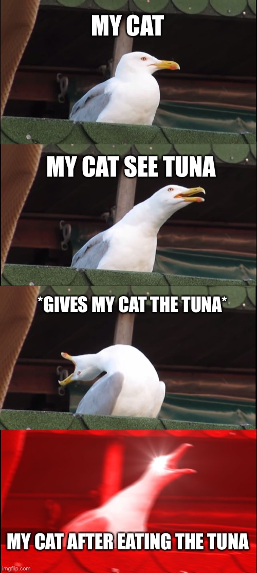 Inhaling Seagull | MY CAT; MY CAT SEE TUNA; *GIVES MY CAT THE TUNA*; MY CAT AFTER EATING THE TUNA | image tagged in memes,inhaling seagull | made w/ Imgflip meme maker