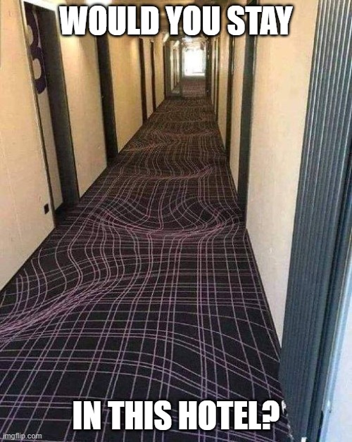 3D Carpet | WOULD YOU STAY; IN THIS HOTEL? | image tagged in 3d carpet | made w/ Imgflip meme maker
