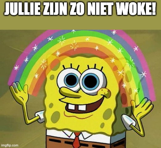 Imagination Spongebob | JULLIE ZIJN ZO NIET WOKE! | image tagged in memes,imagination spongebob | made w/ Imgflip meme maker