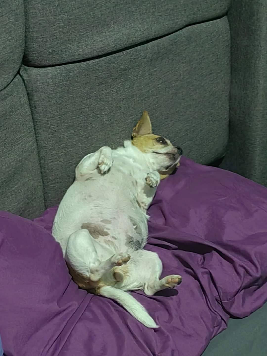 Quedeasiquede-asi Blank Meme Template