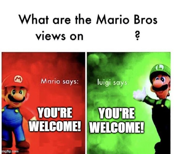Mario Bros Views | YOU'RE WELCOME! YOU'RE WELCOME! | image tagged in mario bros views | made w/ Imgflip meme maker