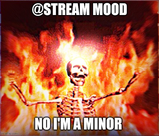 Aesthetic Skeleton burning in hell by Pochita_ | @STREAM MOOD; NO I'M A MINOR | image tagged in aesthetic skeleton burning in hell by pochita_ | made w/ Imgflip meme maker