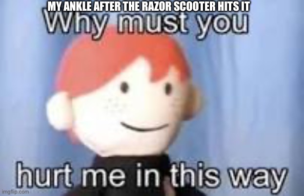 Why must you hurt me in this way | MY ANKLE AFTER THE RAZOR SCOOTER HITS IT | image tagged in why must you hurt me in this way | made w/ Imgflip meme maker