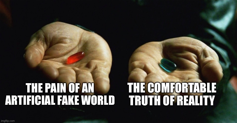 Red pill blue pill | THE PAIN OF AN ARTIFICIAL FAKE WORLD THE COMFORTABLE TRUTH OF REALITY | image tagged in red pill blue pill | made w/ Imgflip meme maker