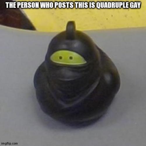 Yes, I'm Calling Myself Quadruple Gay | THE PERSON WHO POSTS THIS IS QUADRUPLE GAY | image tagged in ninja rubber duck,lgbtq,memes,quadruple gay | made w/ Imgflip meme maker