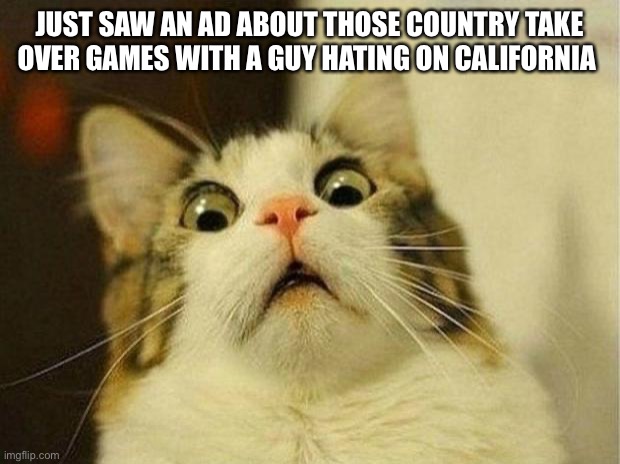 Scared Cat | JUST SAW AN AD ABOUT THOSE COUNTRY TAKE OVER GAMES WITH A GUY HATING ON CALIFORNIA | image tagged in memes,scared cat | made w/ Imgflip meme maker