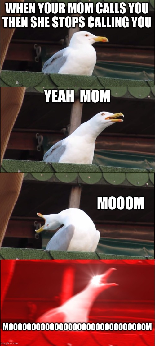 moms am I right | WHEN YOUR MOM CALLS YOU THEN SHE STOPS CALLING YOU; YEAH  MOM; MOOOM; MOOOOOOOOOOOOOOOOOOOOOOOOOOOOOOM | image tagged in memes,inhaling seagull | made w/ Imgflip meme maker