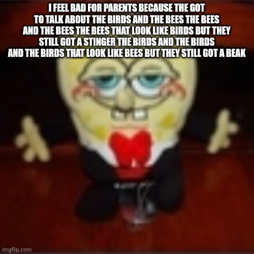 idk.jpg | I FEEL BAD FOR PARENTS BECAUSE THE GOT TO TALK ABOUT THE BIRDS AND THE BEES THE BEES AND THE BEES THE BEES THAT LOOK LIKE BIRDS BUT THEY STILL GOT A STINGER THE BIRDS AND THE BIRDS AND THE BIRDS THAT LOOK LIKE BEES BUT THEY STILL GOT A BEAK | image tagged in idk jpg | made w/ Imgflip meme maker