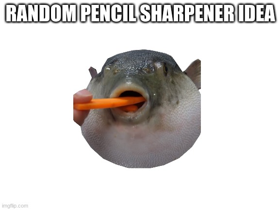 carrot pufferfish pencil sharpener | RANDOM PENCIL SHARPENER IDEA | image tagged in blank white template | made w/ Imgflip meme maker