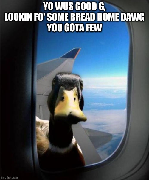 DUck | YO WUS GOOD G,
LOOKIN FO' SOME BREAD HOME DAWG
YOU GOTA FEW | image tagged in duck on plane wing,funny,memes,duck,ducks,funny memes | made w/ Imgflip meme maker