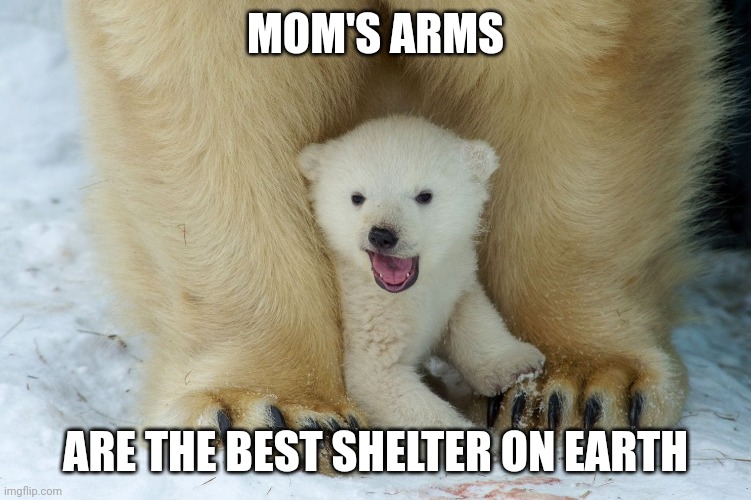 My Dad's Bigger Than Your Dad | MOM'S ARMS; ARE THE BEST SHELTER ON EARTH | image tagged in my dad's bigger than your dad | made w/ Imgflip meme maker