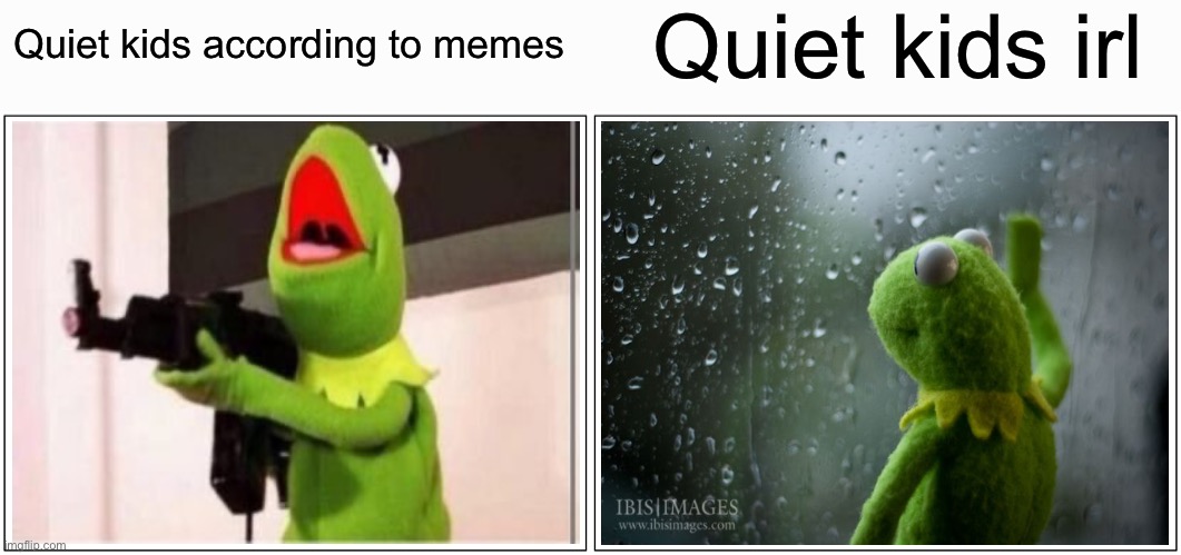 Blank Comic Panel 2x1 | Quiet kids irl; Quiet kids according to memes | image tagged in memes,blank comic panel 2x1,kermit the frog,quiet kid,guns | made w/ Imgflip meme maker