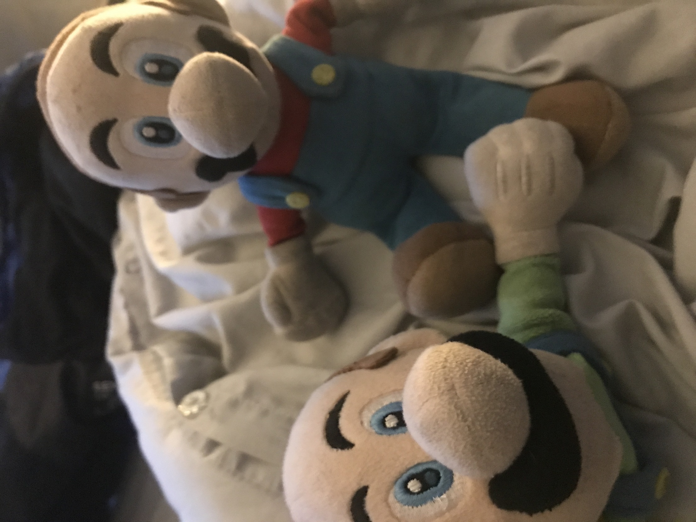Mario and Luigi Blank Meme Template