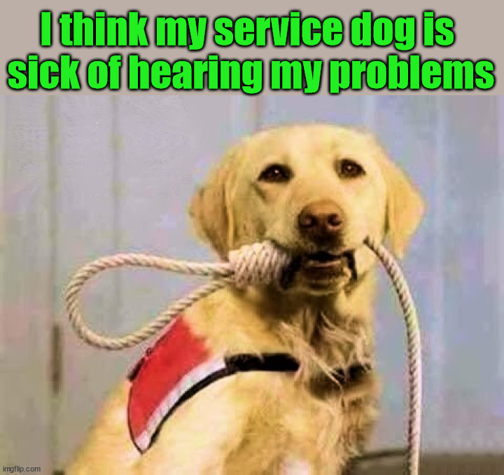 I think my service dog is 
sick of hearing my problems | image tagged in dark humor | made w/ Imgflip meme maker