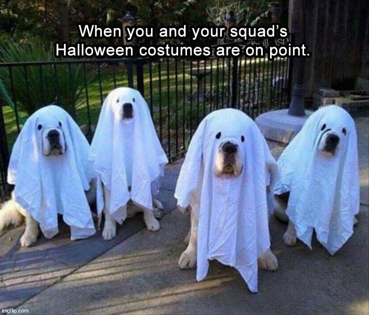 image tagged in ghosts,halloween | made w/ Imgflip meme maker