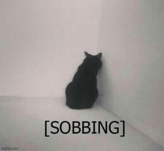 Sobbing cat | image tagged in sobbing cat | made w/ Imgflip meme maker