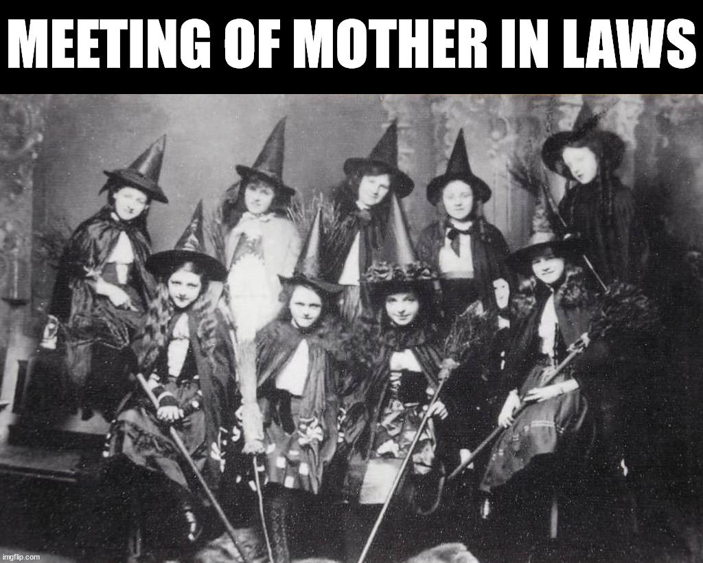 MEETING OF MOTHER IN LAWS | image tagged in eye roll | made w/ Imgflip meme maker