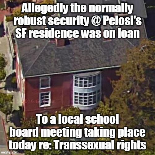 Gotta smoke out those "Domestic Terrorists" | Allegedly the normally robust security @ Pelosi's SF residence was on loan; To a local school board meeting taking place today re: Transsexual rights | image tagged in protect the people that matter | made w/ Imgflip meme maker
