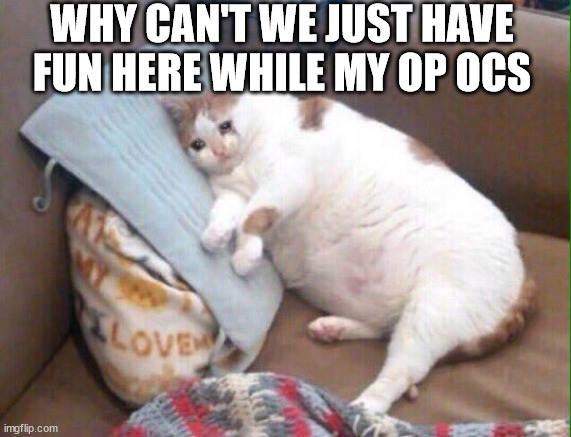 Crying cat | WHY CAN'T WE JUST HAVE FUN HERE WHILE MY OP OCS | image tagged in crying cat | made w/ Imgflip meme maker