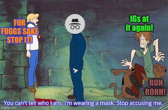 No one ever found out who it was. | FOR FUGGS SAKE STOP IT! IGs at it again! RUH ROHH! You can't tell who I am. I'm wearing a mask. Stop accusing me. | image tagged in and he walked free,after all no one,talking to him,would ever see,thru his amazing,disguise | made w/ Imgflip meme maker