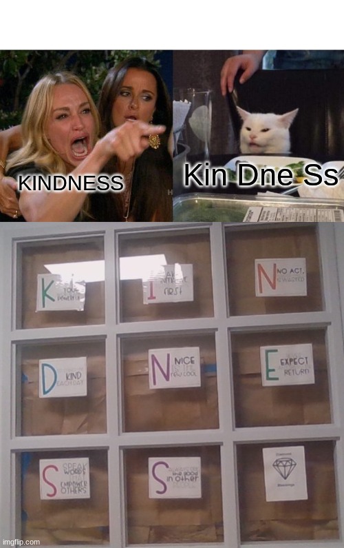 Yay | Kin Dne Ss; KINDNESS | image tagged in memes,woman yelling at cat,kindness | made w/ Imgflip meme maker