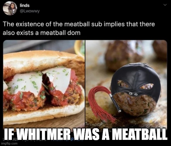 If Whitmer was a Meatball | IF WHITMER WAS A MEATBALL | image tagged in if whitmer was a meatball | made w/ Imgflip meme maker