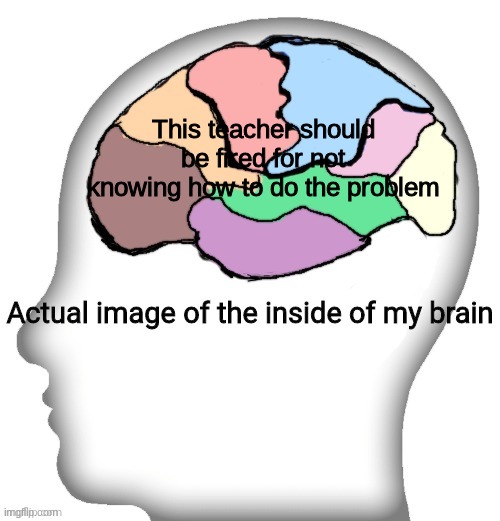 Actual image of the inside of my brain | This teacher should be fired for not knowing how to do the problem | image tagged in actual image of the inside of my brain | made w/ Imgflip meme maker