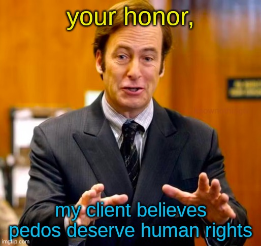 for legal reasons | your honor, my client believes pedos deserve human rights | image tagged in saul goodman your honor | made w/ Imgflip meme maker