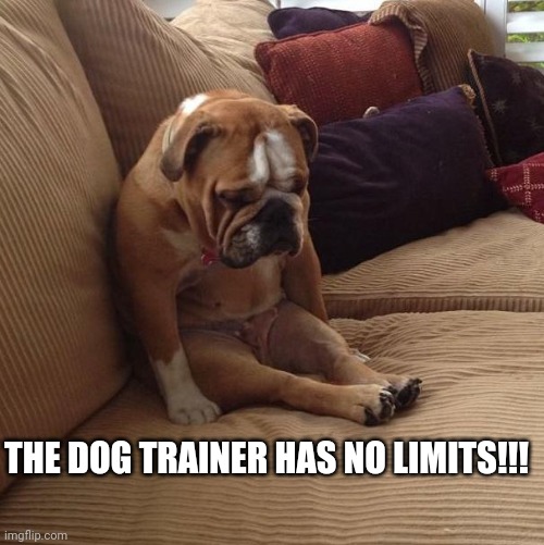 bulldogsad | THE DOG TRAINER HAS NO LIMITS!!! | image tagged in bulldogsad | made w/ Imgflip meme maker