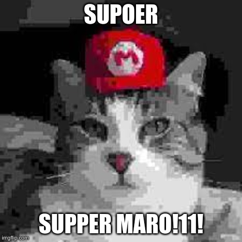 sopper mario!!! (real) | SUPOER; SUPPER MARO!11! | image tagged in cat,meme,low quality,badlymade,bad spelling,funny | made w/ Imgflip meme maker