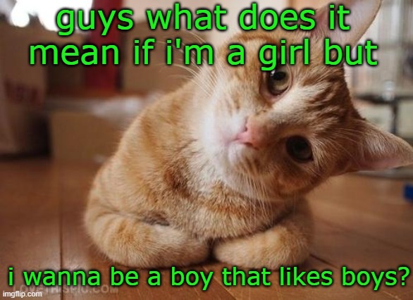 please ansr this i beg u plzzz! | guys what does it mean if i'm a girl but; i wanna be a boy that likes boys? | image tagged in curious question cat,lgbtq | made w/ Imgflip meme maker