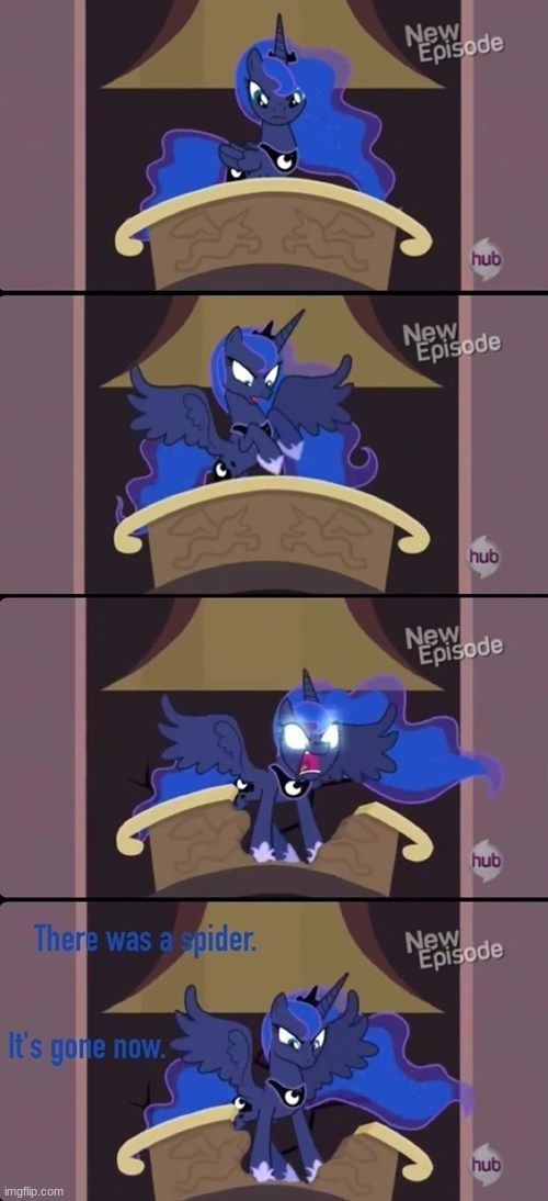 who else agrees? | image tagged in luna,spider,mlp,funny | made w/ Imgflip meme maker