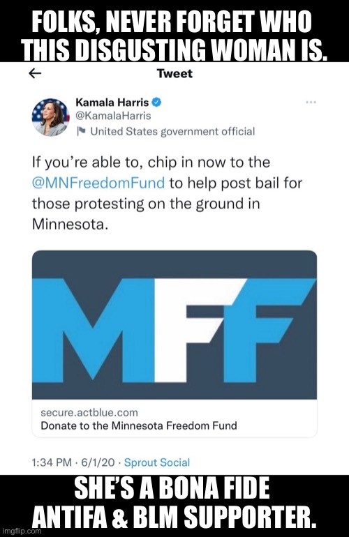 Kamala Harris — a disgusting Antifa & BLM supporter! | FOLKS, NEVER FORGET WHO 
THIS DISGUSTING WOMAN IS. SHE’S A BONA FIDE 
ANTIFA & BLM SUPPORTER. | image tagged in kamala harris,democrat party,communist,antifa,blm,traitor | made w/ Imgflip meme maker