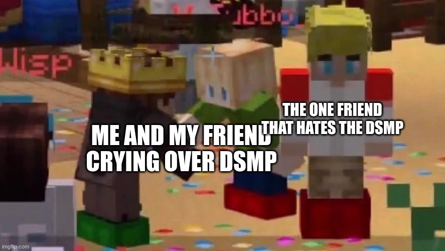 MCYT Friendship | THE ONE FRIEND THAT HATES THE DSMP; ME AND MY FRIEND CRYING OVER DSMP | image tagged in mcyt friendship | made w/ Imgflip meme maker