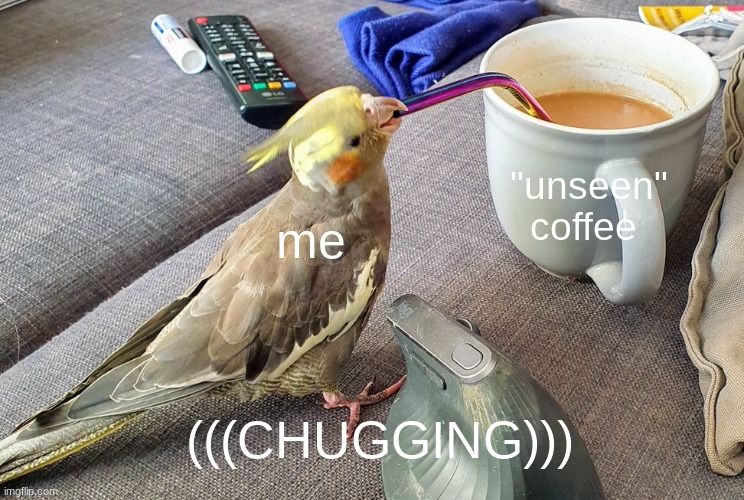 drinking parrot | me "unseen" coffee (((CHUGGING))) | image tagged in drinking parrot | made w/ Imgflip meme maker
