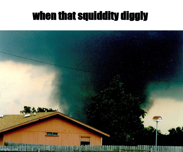 when | when that squiddity diggly | image tagged in tornado,jarrel,cursed | made w/ Imgflip meme maker
