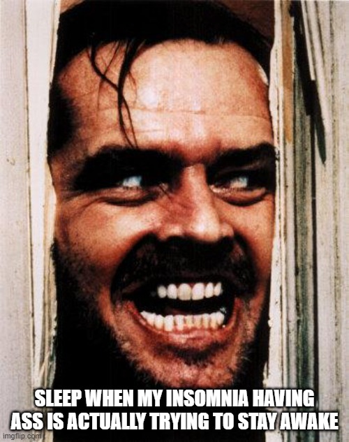 Where was it when I was trying to sleep? | SLEEP WHEN MY INSOMNIA HAVING ASS IS ACTUALLY TRYING TO STAY AWAKE | image tagged in i'm back | made w/ Imgflip meme maker