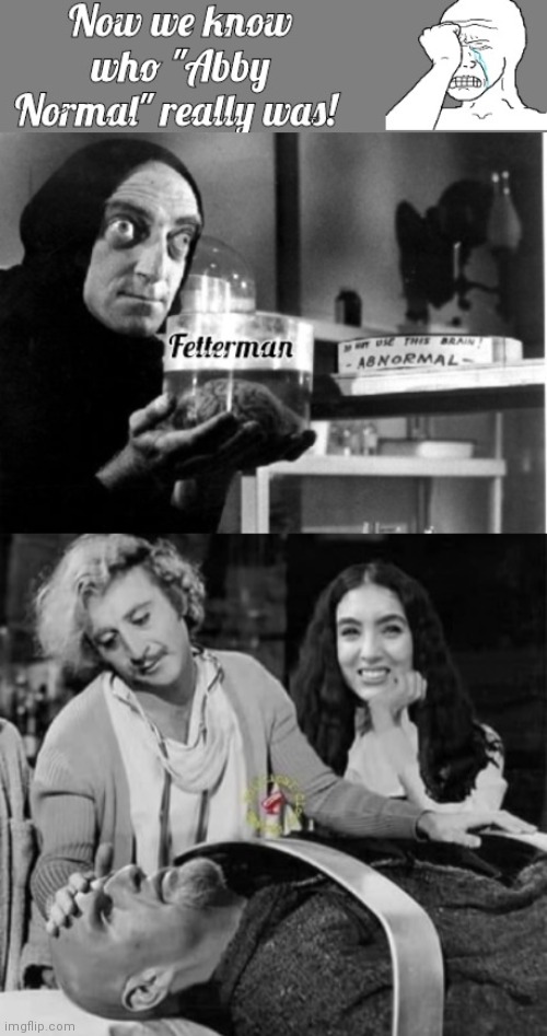 Young Frankenstein Fetterman's Brain | image tagged in frankenstein's monster | made w/ Imgflip meme maker