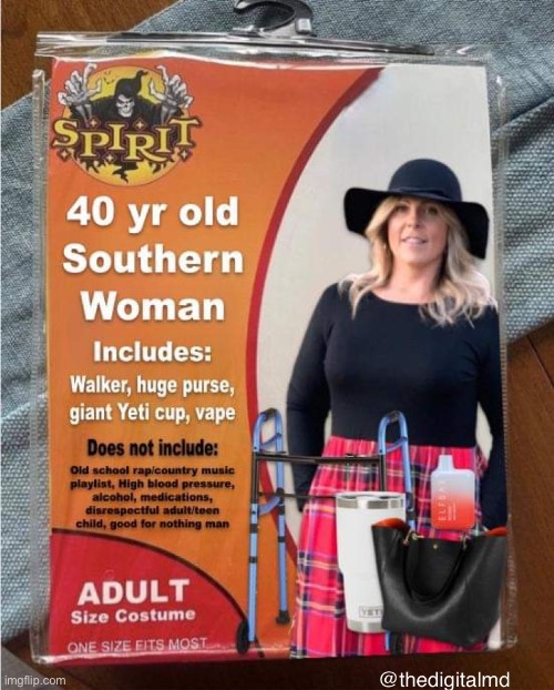 40 yr old southern woman costume | image tagged in spirit halloween 40 yr old southern woman | made w/ Imgflip meme maker