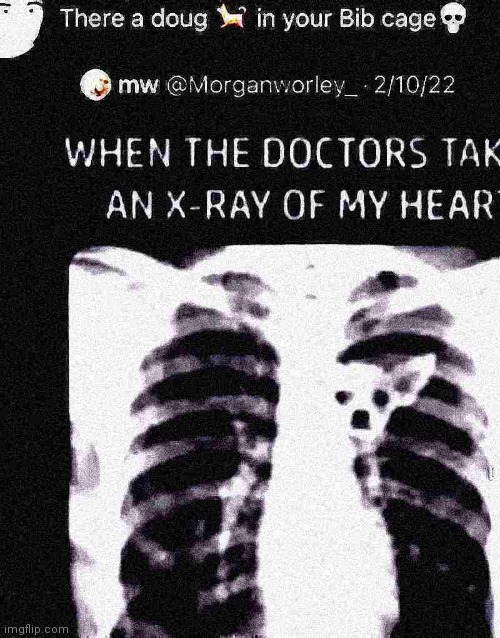 *INSERT SKULL EMOJI HERE* | image tagged in deep fried hell,deep fried,shitpost | made w/ Imgflip meme maker