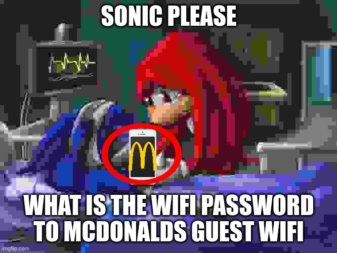 Tell Him.. | SONIC PLEASE; WHAT IS THE WIFI PASSWORD TO MCDONALDS GUEST WIFI | image tagged in sonic please,sonic,mcdonalds,macdonalds | made w/ Imgflip meme maker