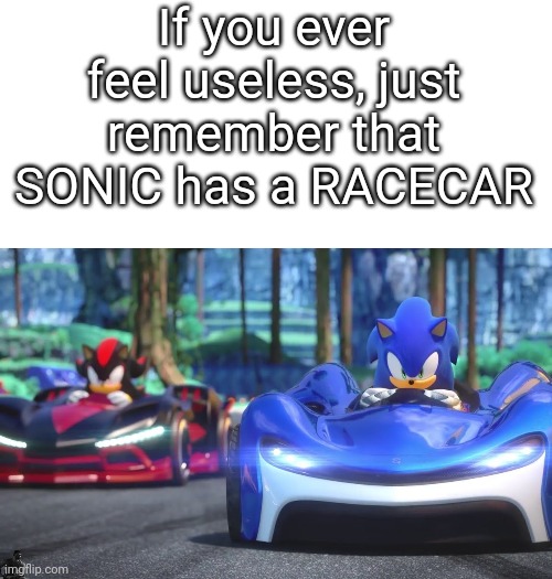 this is so stupid | If you ever feel useless, just remember that SONIC has a RACECAR | image tagged in white background,stupid,memes,sonic,racecar | made w/ Imgflip meme maker