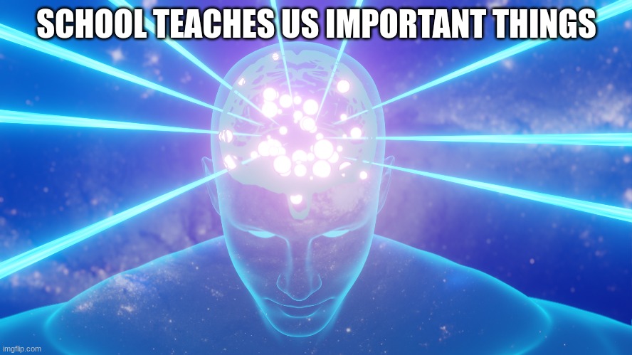 SCHOOL TEACHES US IMPORTANT THINGS | image tagged in smart | made w/ Imgflip meme maker