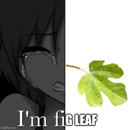 Fig leaf | G LEAF | image tagged in im fi | made w/ Imgflip meme maker