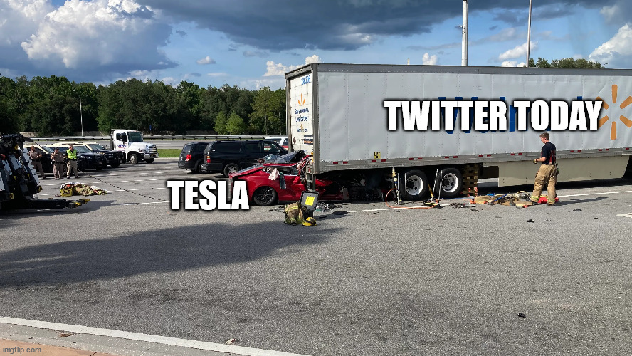 TWITTER TODAY; TESLA | image tagged in elon musk | made w/ Imgflip meme maker