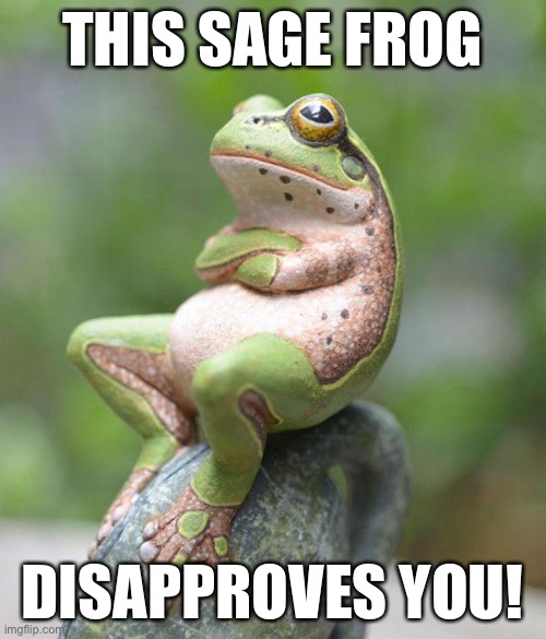 The frog of disapproval | THIS SAGE FROG; DISAPPROVES YOU! | image tagged in nah frog,disapproval,memes,animals,frogs,sage | made w/ Imgflip meme maker