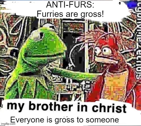 If I could comment on the Anti's stream, this is the exact thing I would say | ANTI-FURS:
Furries are gross! Everyone is gross to someone | image tagged in my brother in christ | made w/ Imgflip meme maker